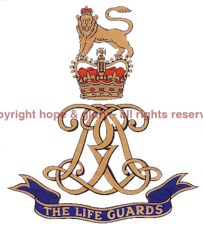 The Life Guards Beanie Hat - Image 6